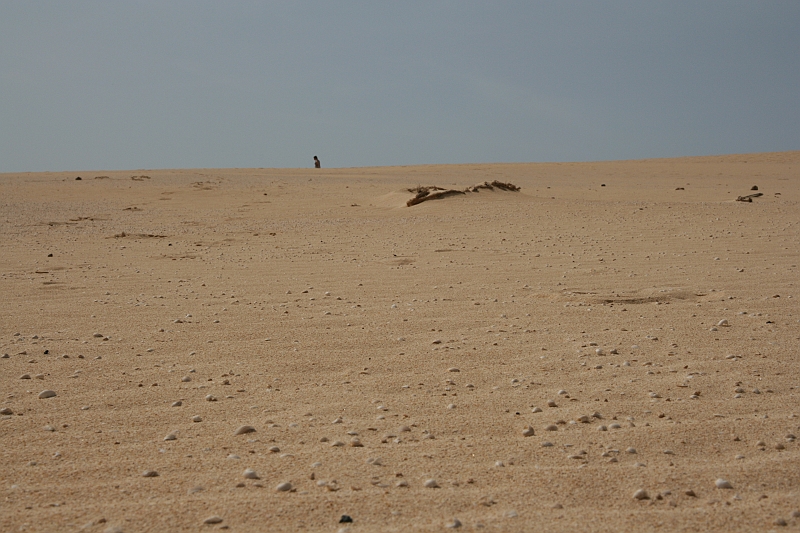 Kanary_2010 080